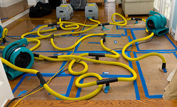 Professional Crawl Space Water Removal technician working in Cambridge City, IN
